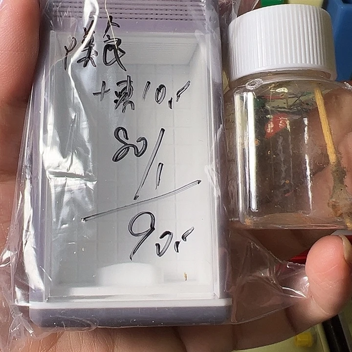 Y***Y蟋蟀哈哈哈哈哈哈哈哈哈哈哈