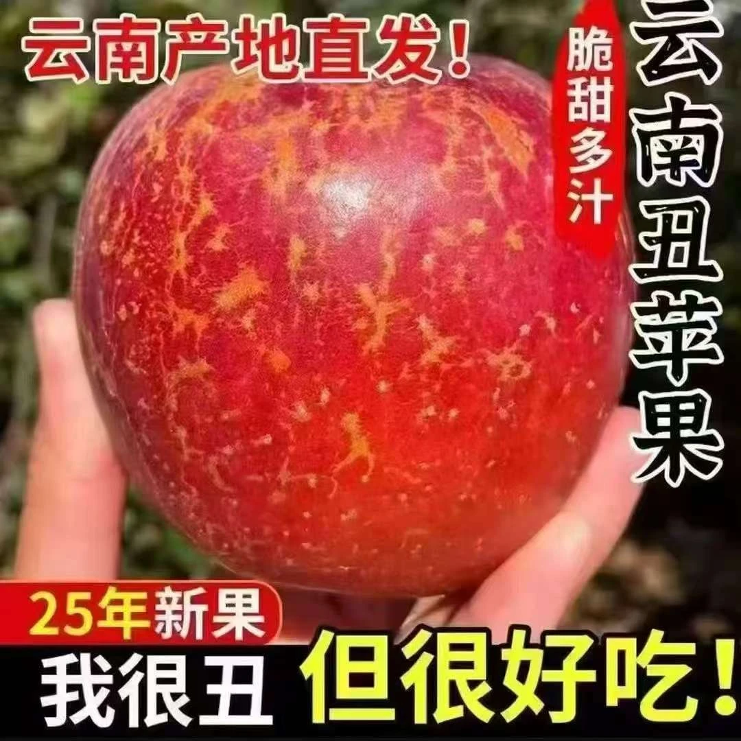 云南昭通丑苹果当季现摘脆甜多汁新鲜水果