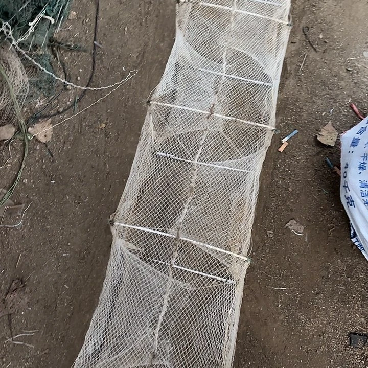 笑***4虾虾5554456655虾笼