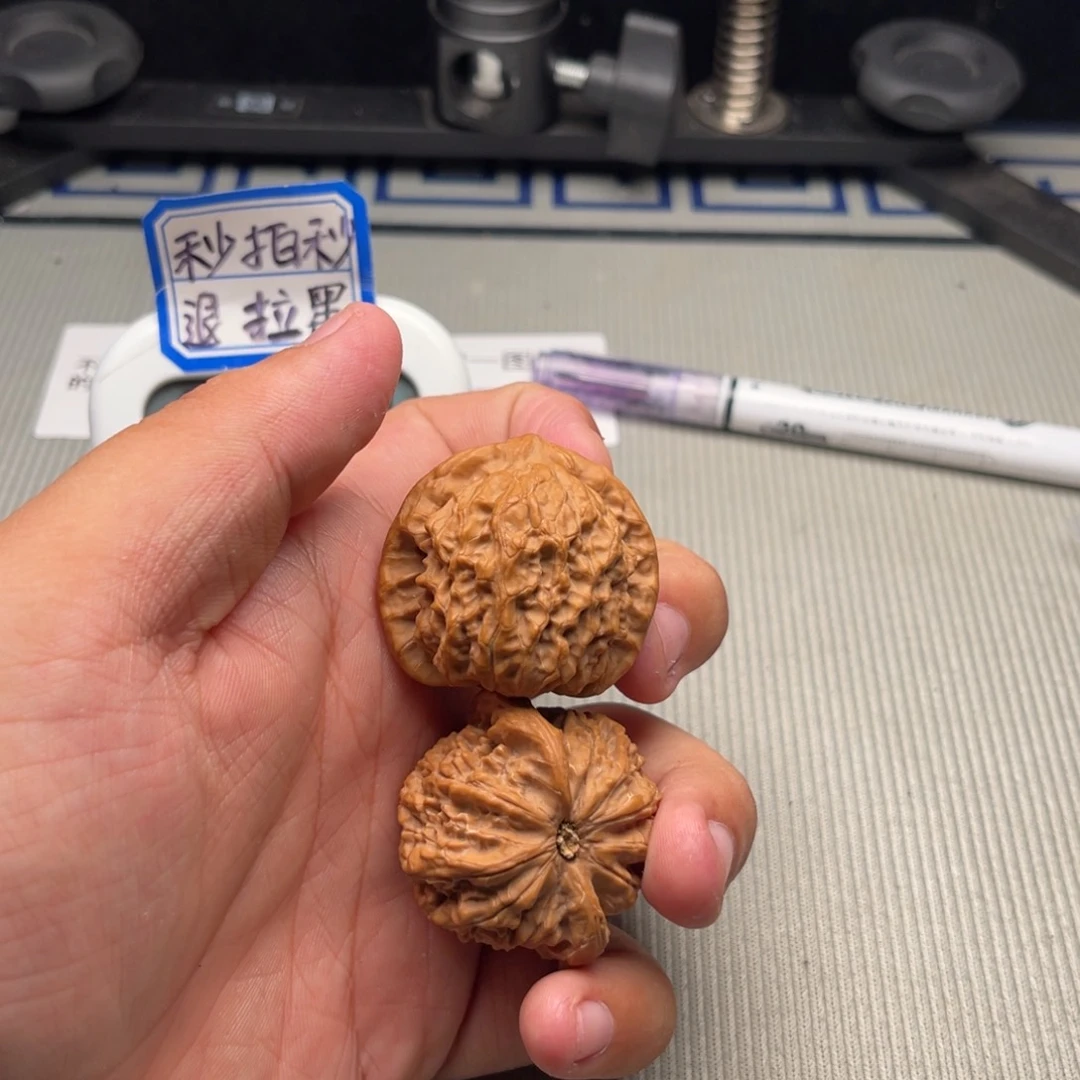 钓***人哈哈哈不哈哈哈哈哈哈回家