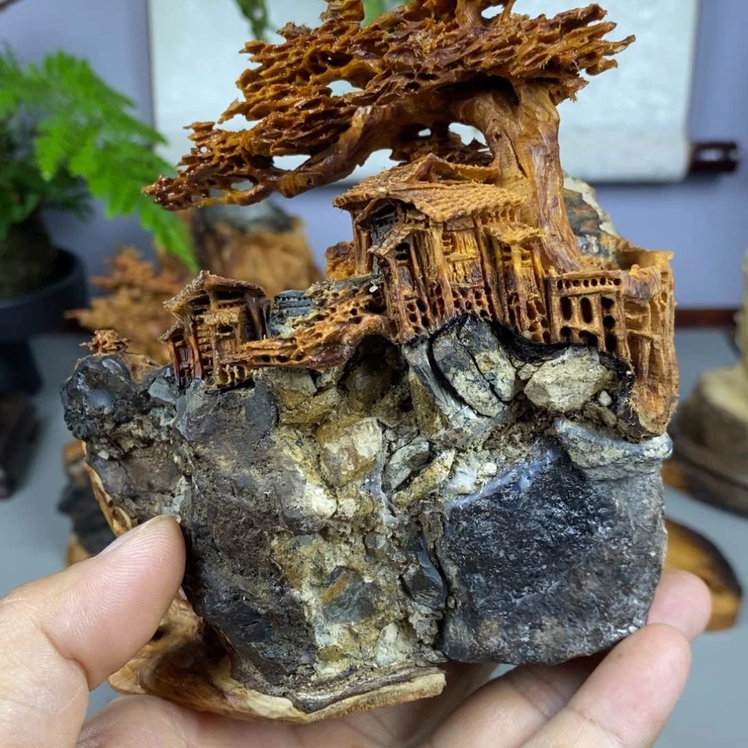 柏木（崖柏）训*人补差价