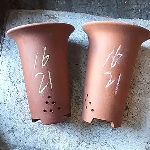 小红兰花两个微瑕