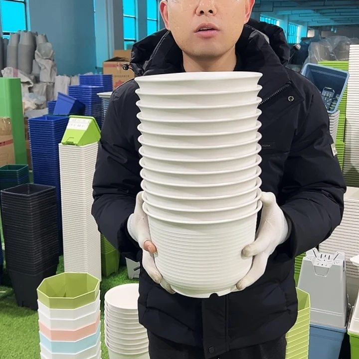 正品矮陶口21高15白色8只无托