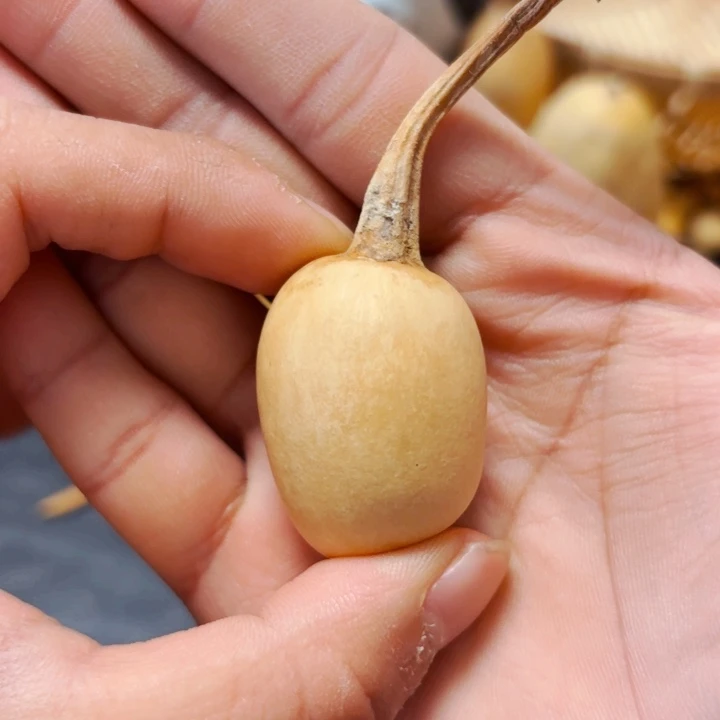 无*988888888888888888