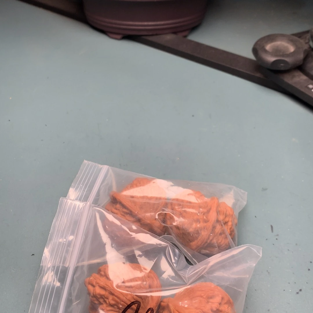 文玩核桃把件玉枕4546