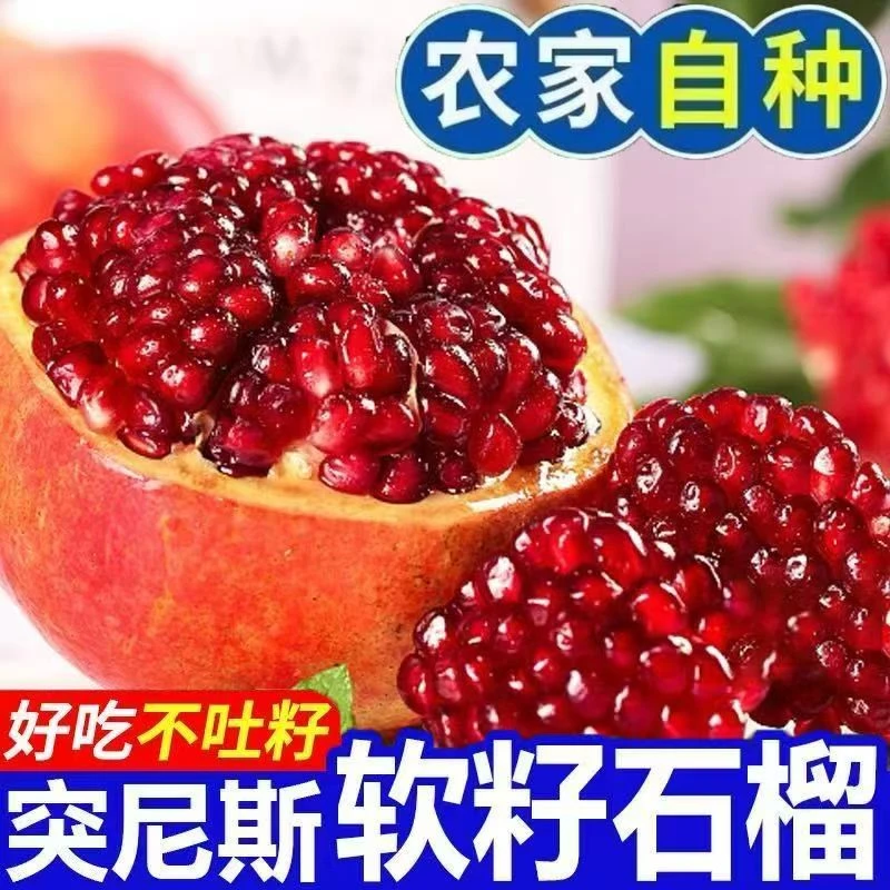 【现摘现发】软籽石榴新鲜当季水果现摘红心甜石榴云南发货坏果包赔