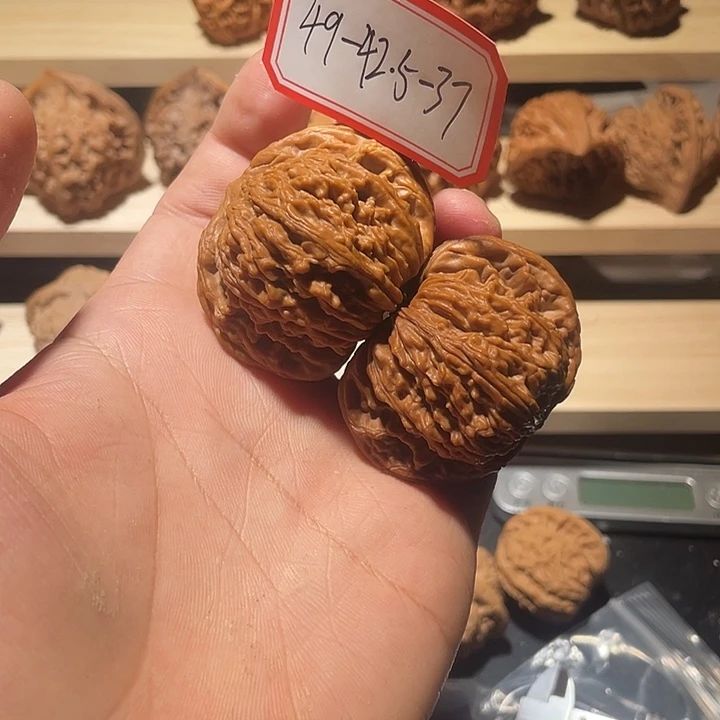 四座楼矮壮49尺全品