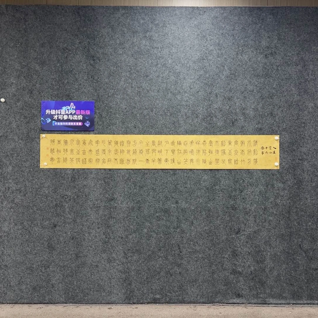 书法书法SHJ老师作品