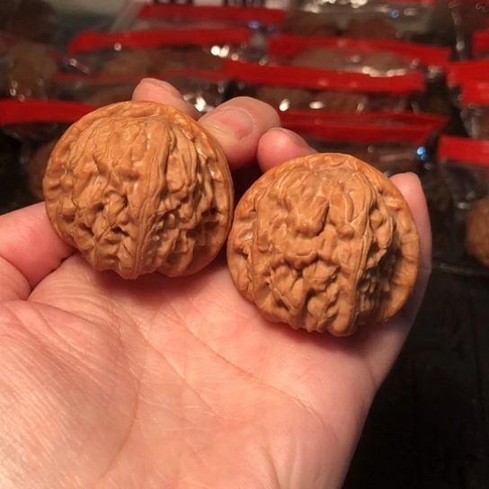 把件文玩核桃白狮子40.5