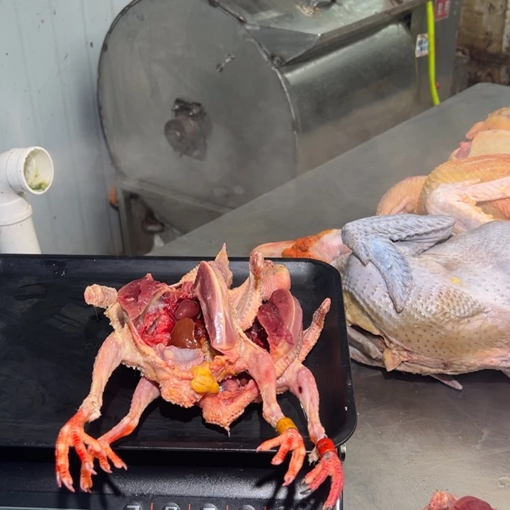 鸽子食用农产品中国大陆A****福