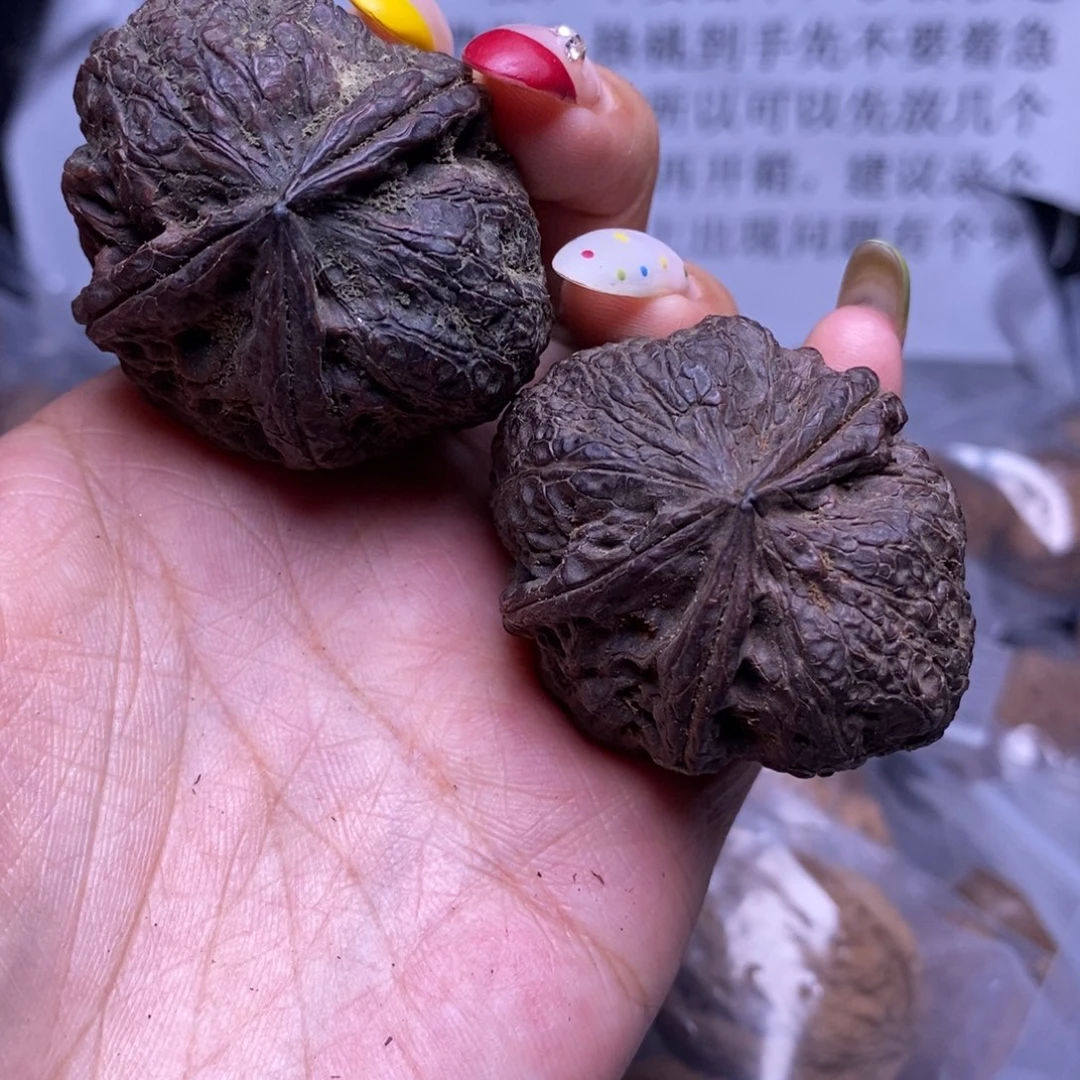 把件文玩核桃云南野生铁核桃46号44mm