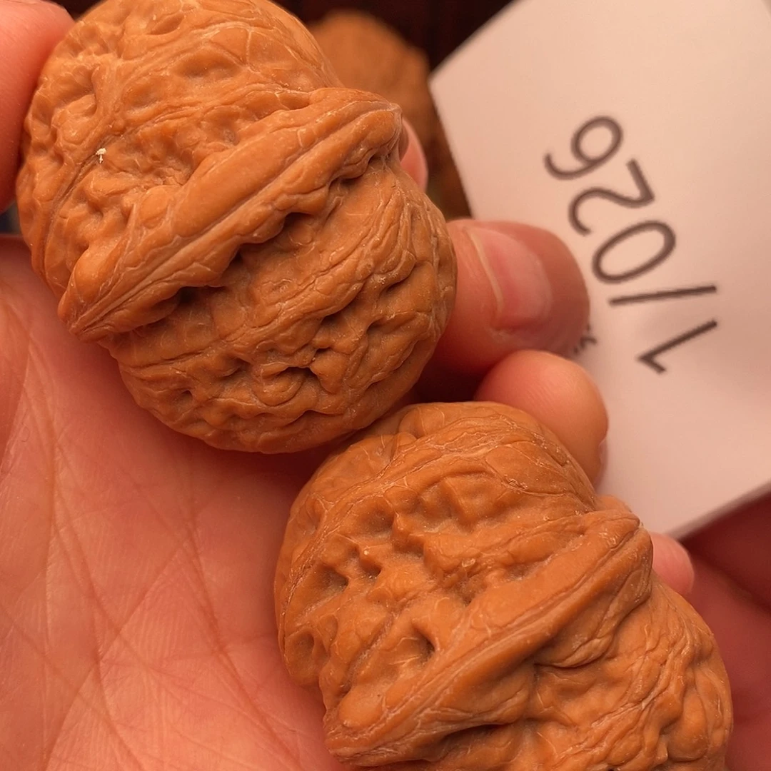 文玩核桃把件40元宝