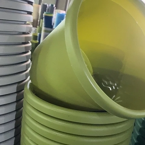 树脂四季5号微瑕果绿无托6个