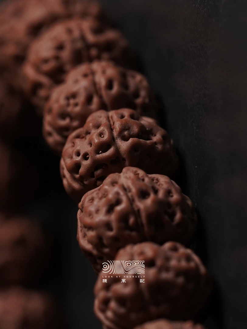 老树王精品手持