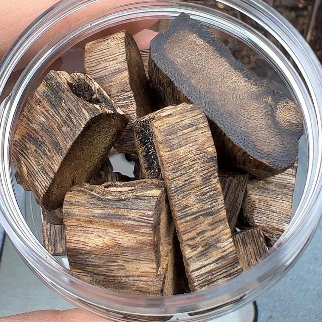 沉香木手把件莺歌绿奇楠边角老料20克