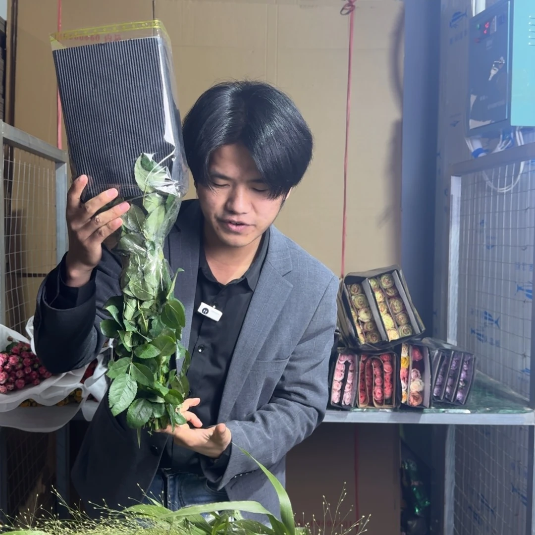 弗洛伊德1扎。