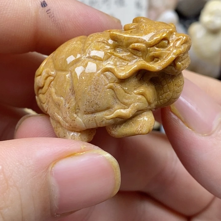 颈饰未镶嵌硅化珊瑚（珊瑚玉）