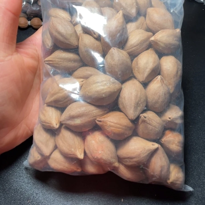 时***我猪牙手串/手链我是