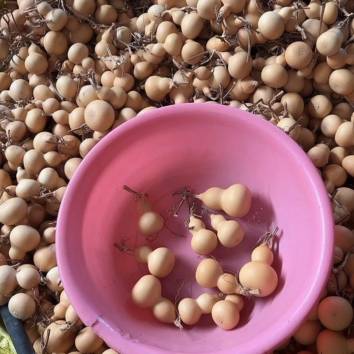 文玩精挑小美葫芦