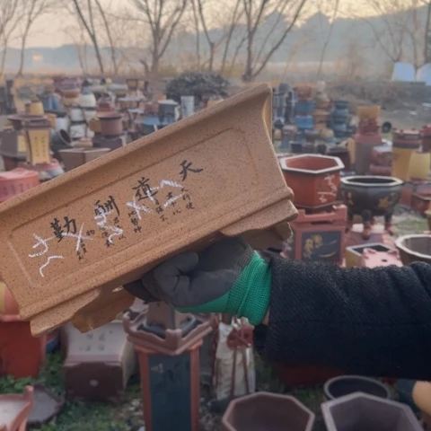 红陶紫砂花盆盆景盆栽