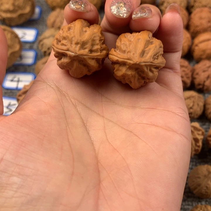 梦*粗筋八棱。