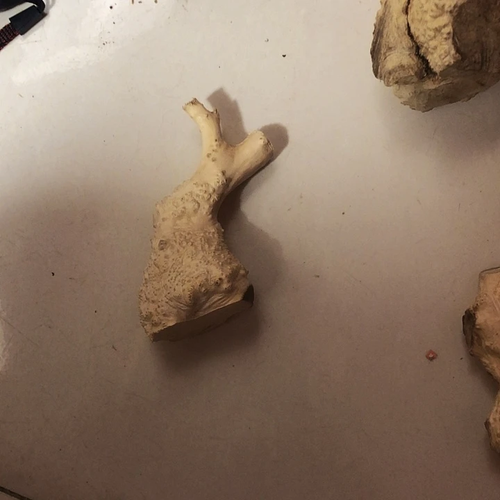 六***哥木木料木料木料木料