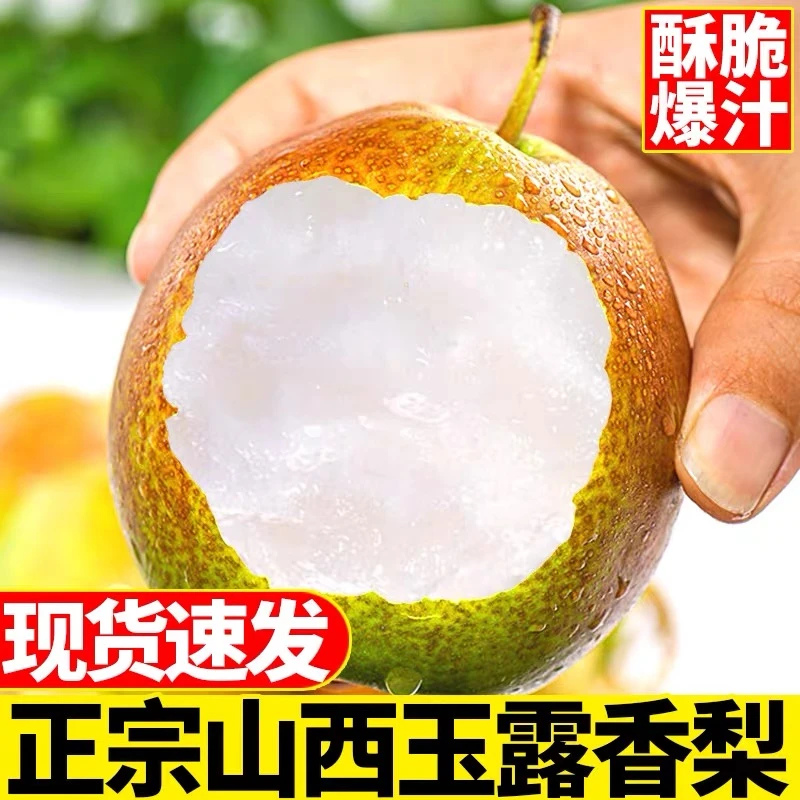 现货玉露香梨正宗新鲜当季孕妇水果现摘梨子整箱山西黄皮脆甜多汁