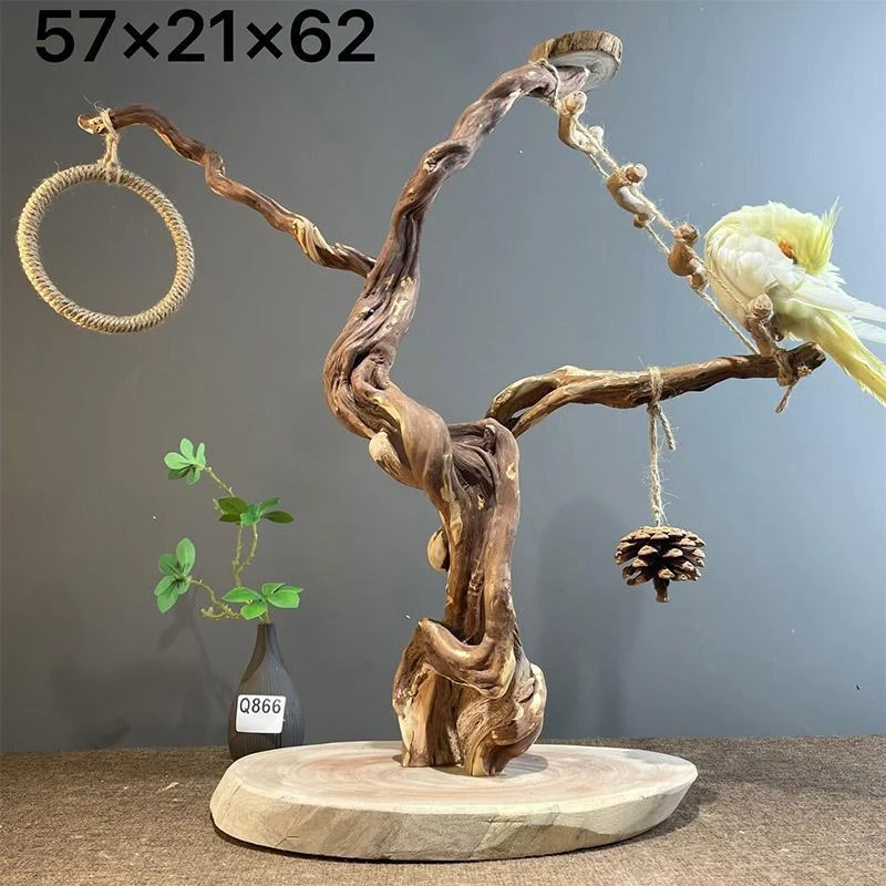 鹦鹉站架实木桌面站架玄凤玩具解闷自嗨游乐园定点排便站架鸟用品