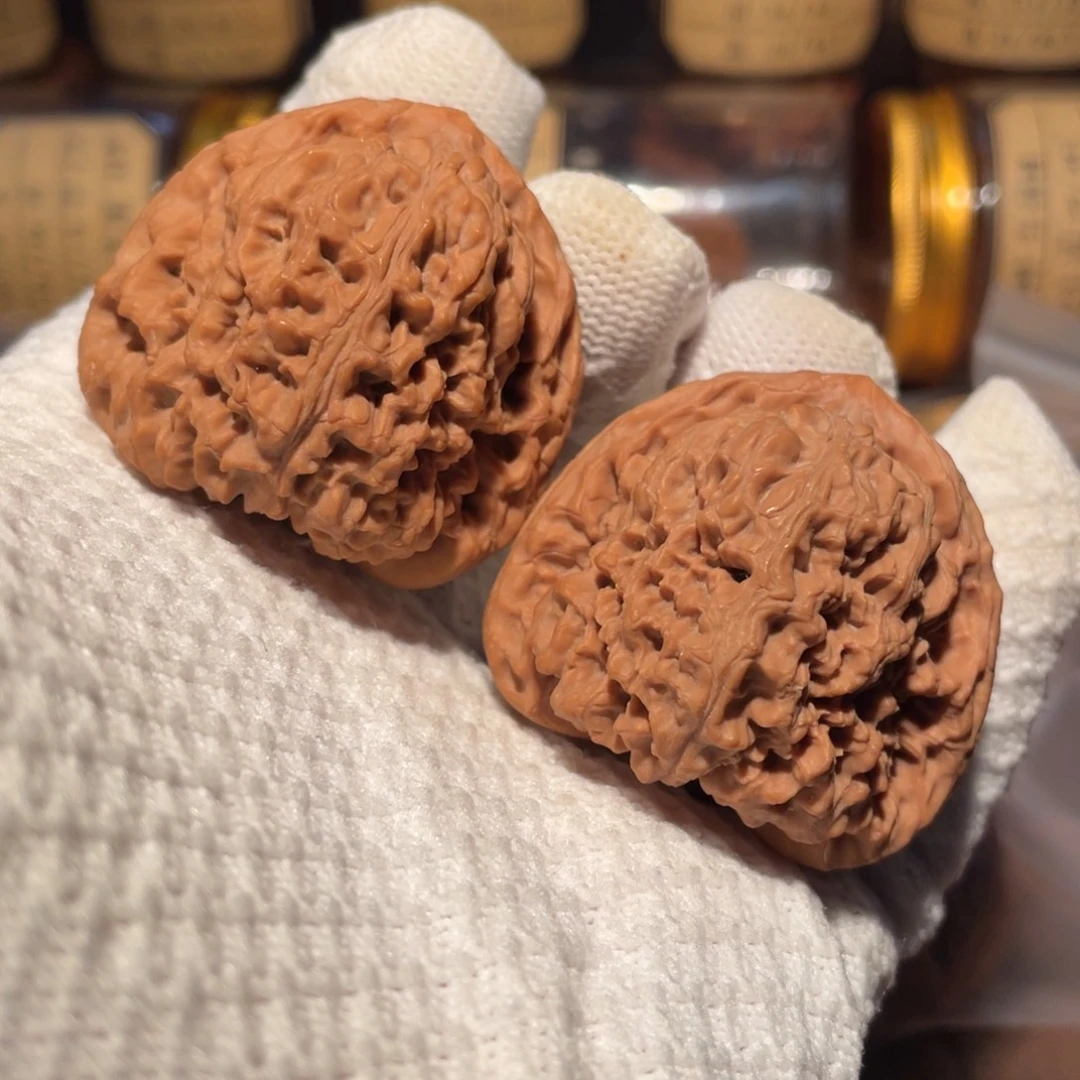 核桃43三角疆jjjj