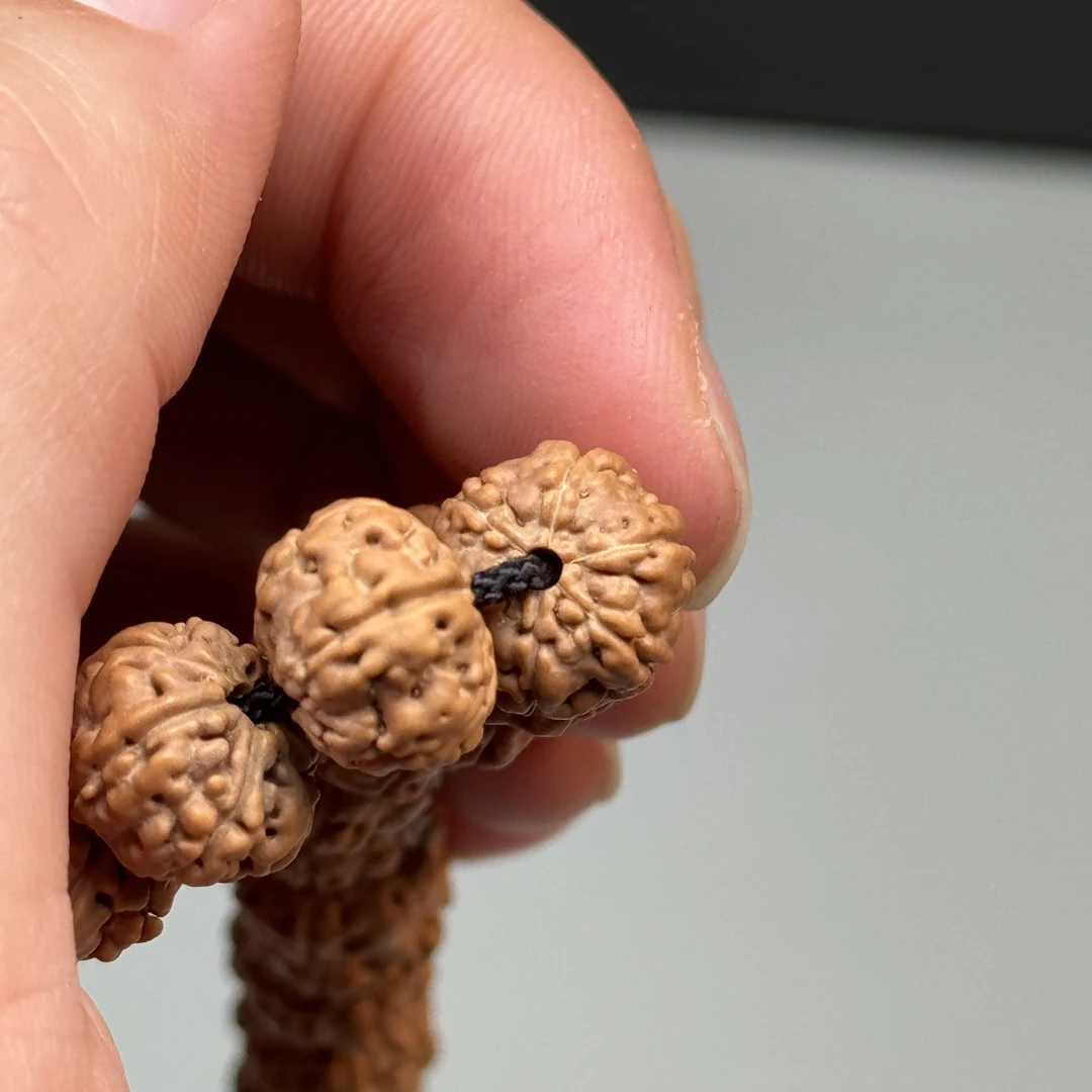 树王精选·六瓣·小金刚树王单圈手串