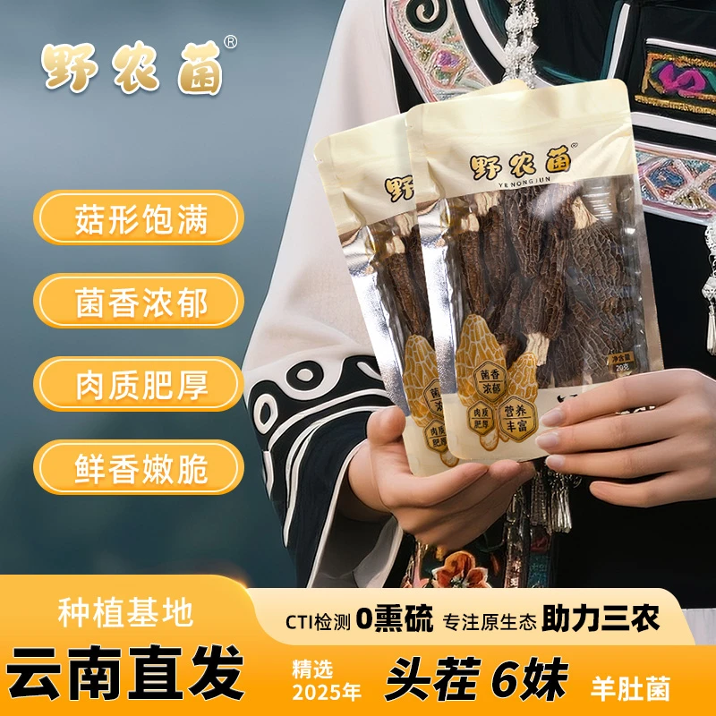 野农菌2025头茬羊肚菌菇（6妹3-5公分）煲汤云南特产种植基地直发