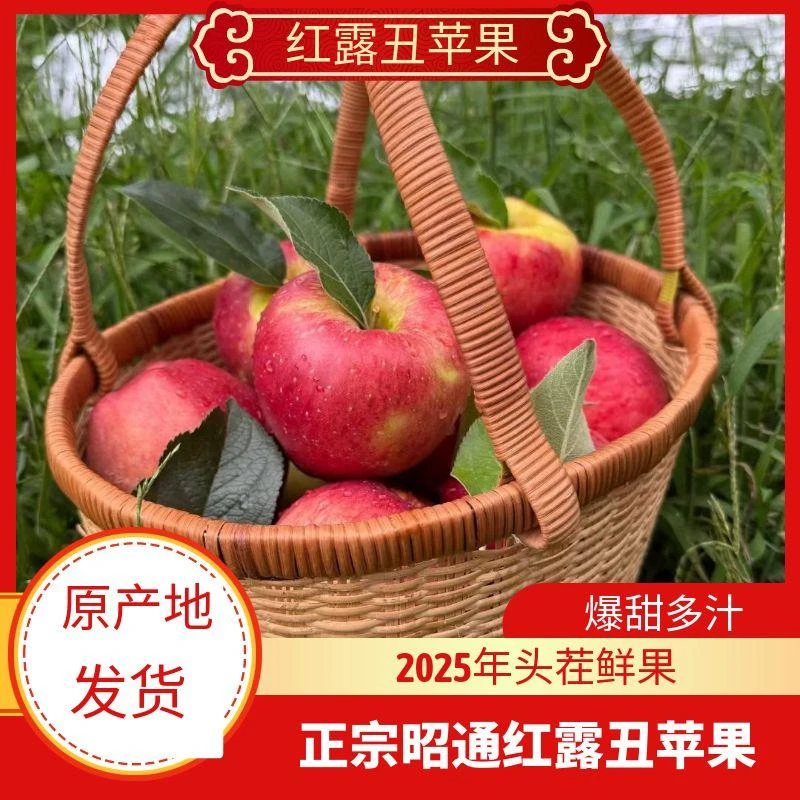 [康康专属]正宗云南昭通早熟红露糖心苹果脆甜