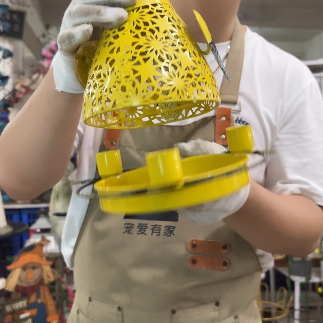 核桃木/黑胡桃（胡桃木）