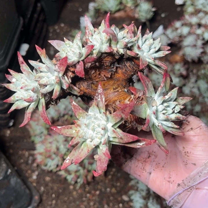 234哈哈哈哈哈哈哈哈