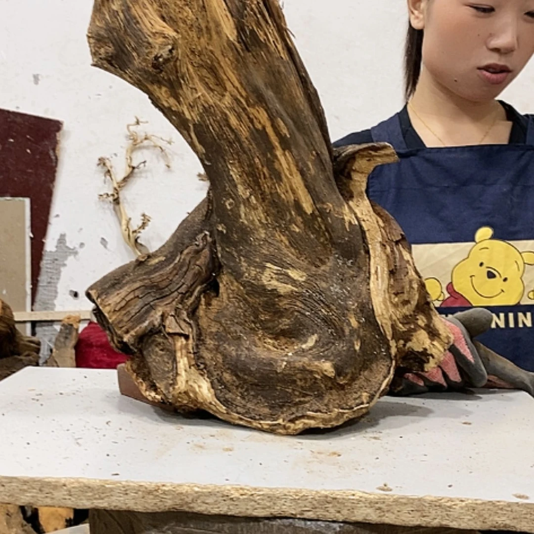 【闪购商品】柏木精*龙我们都是好孩子