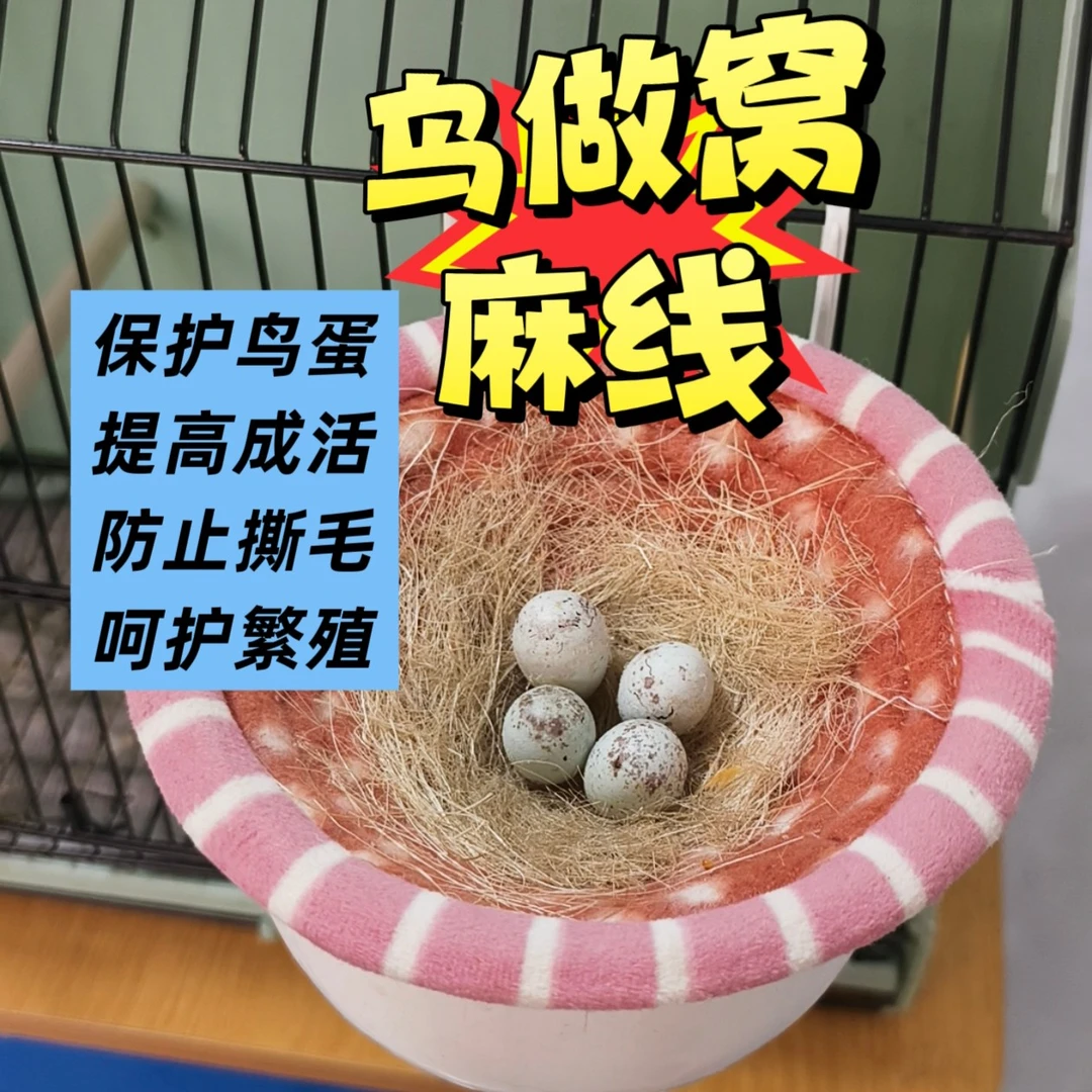 鸟做窝麻料，麻绳料，麻线