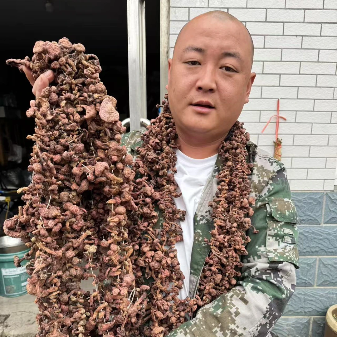 黑龙江特产松散蘑红蘑肉蘑