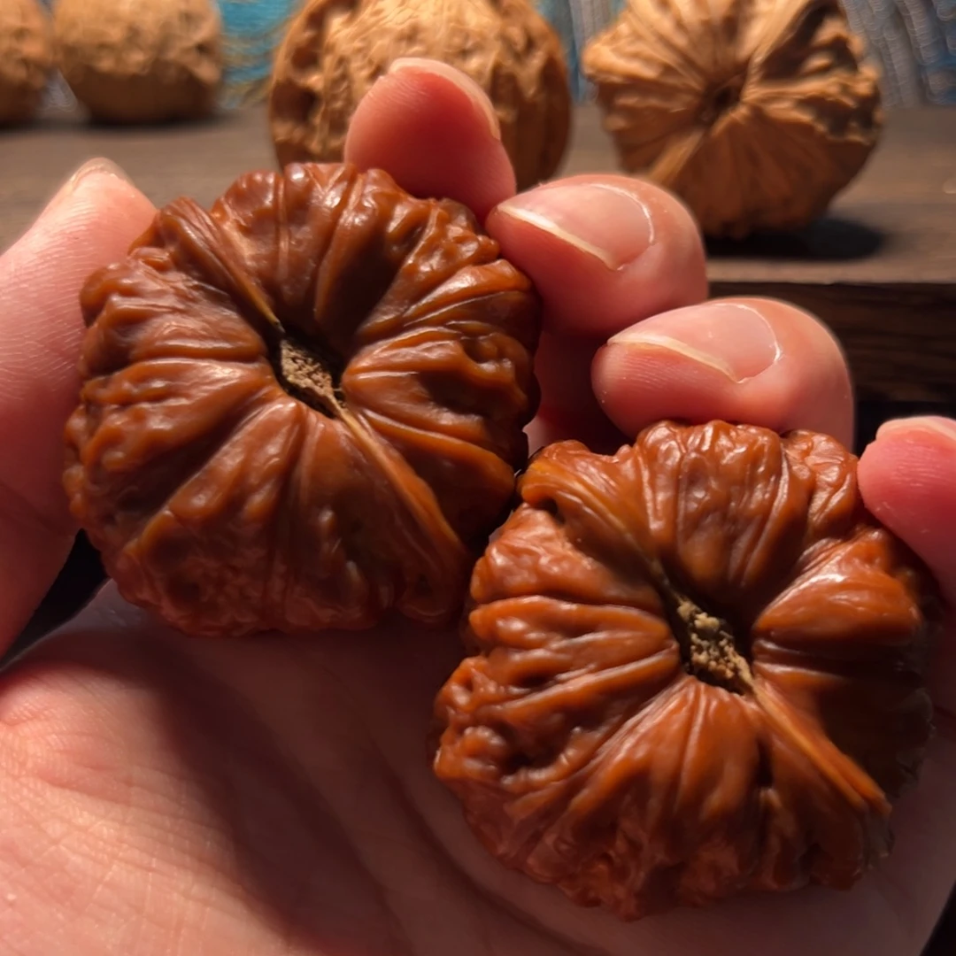 全品手盘5年45南瓜墩，54克