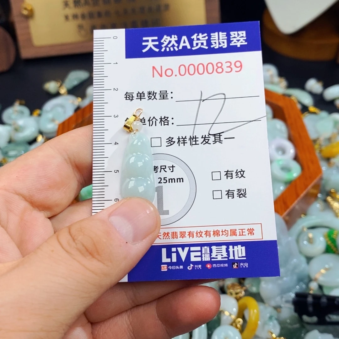 翡翠未镶嵌颈饰839