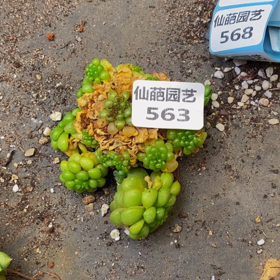 ?563的人在一起的时候
