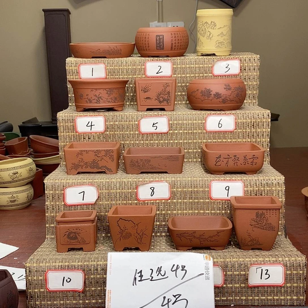 紫砂花盆我在等一