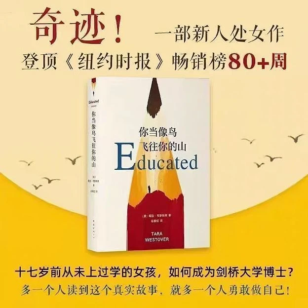 你当像鸟飞往你的山精装中文暖心励志文学书籍登顶纽约时报畅销榜