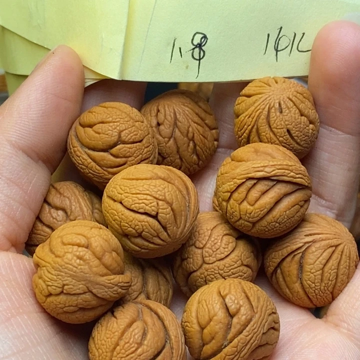 吊坠桃核秦岭龙纹桃核18尺寸