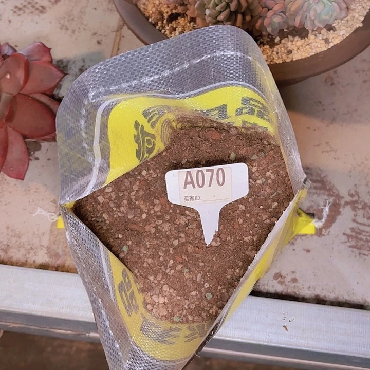 听*多肉植物颗粒土量拍A070