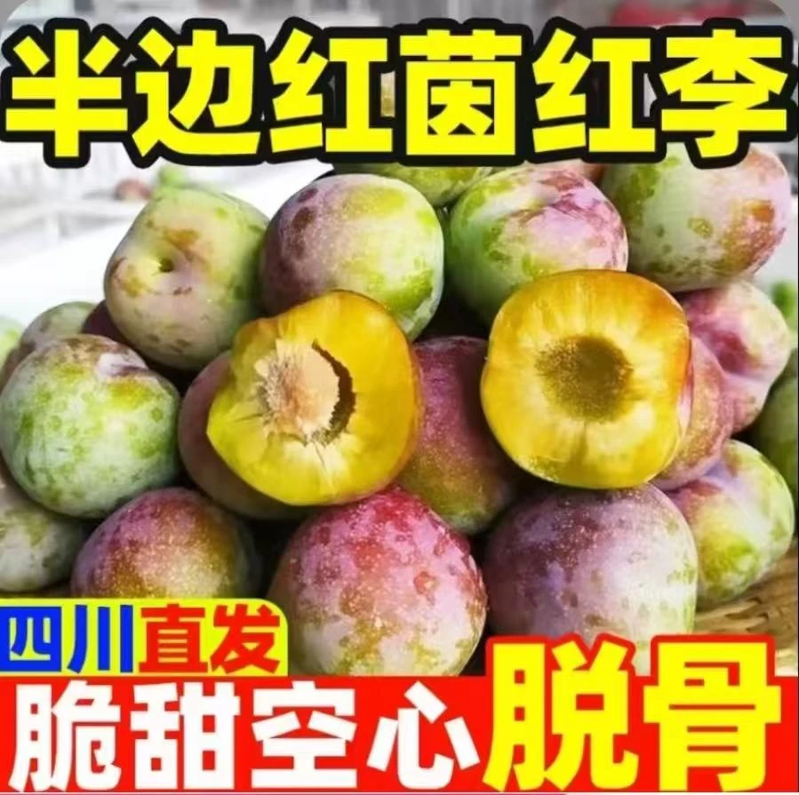 四川正宗脱骨半边红茵红李新鲜现摘脆甜多汁应季水果
