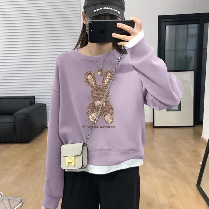 假两件圆领套头短款卫衣女加绒加厚秋冬上衣宽松小个子春秋薄款