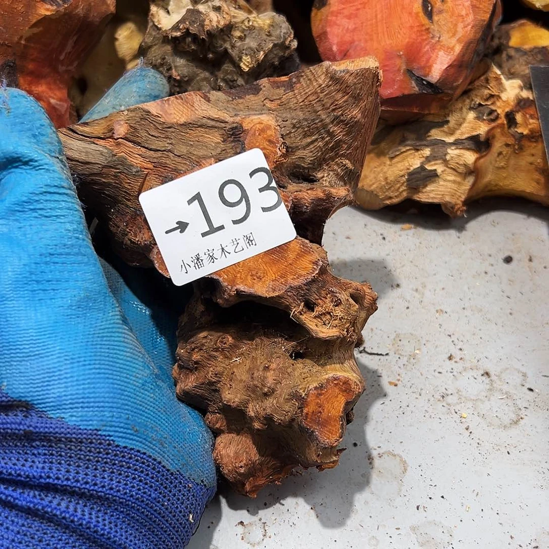 香榧木岁**歌火琉璃……火琉璃