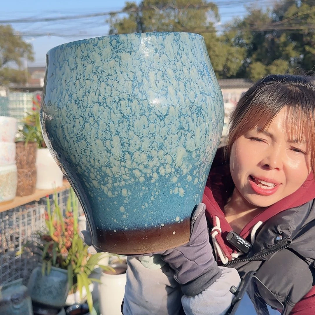王嫂花盆1207-385高32口26