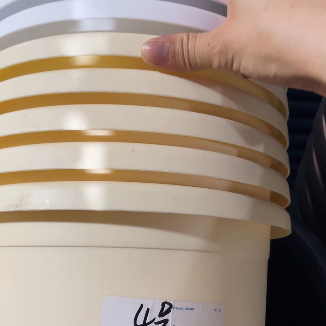 四季4号果绿8个无拖