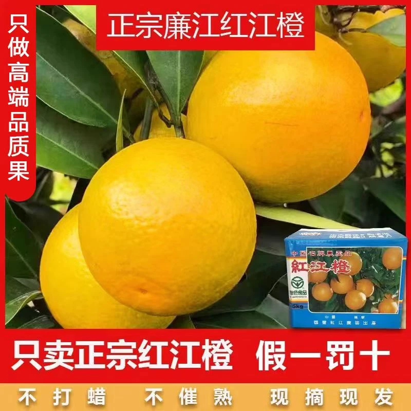 20斤装 正宗廉江红橙新鲜当季水果现摘现发手剥薄皮农场甜橙子